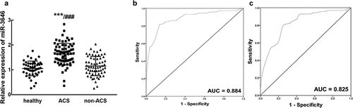 Figure 1. The expression of miR-3646 and its diagnostic value in ACS patients. A. miR-3646 was significantly upregulated in the serum of ACS patients compared with that in healthy volunteers and non-ACS patients. ***P < 0.001 relative to healthy volunteers; ###P < 0.001 relative to non-ACS patients. B. miR-3646 could distinguish ACS patients from healthy volunteers with an AUC of 0.884. C. miR-3646 could distinguish ACS patients from non-ACS patients with the AUC of 0.825