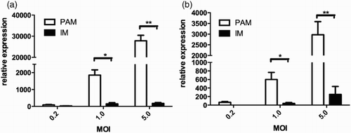 Figure 5. Relative expressions of PRRSV wild type strain (a) and vaccine strain (b) in PAMs and IMs (MOI = 0.2, 1 and 5). *p < .05, **p < .01.