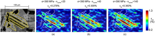 Figure 15. High-resolution digital image correlation strain map for a lamellar grain captured from a sample cyclically loaded (ex situ) in compression at a maximum nominal stress of 390 MPa and R=0.05. Axial (vertical here) strain accumulates inside the defined lamellar platelets which are composed by the γ-TiAl phase. From [Citation136] (reproduced with permission).