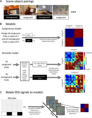 Figure 2. An overview of Representation Similarity Analysis (RSA) that relates brain responses at each time point to the congruency and semantic information associated with the different trials. (A) Example stimuli showing objects in congruent and incongruent scenes. (B) Model RDMs for an example participant. For the congruency model analysis all congruent object trials were each assigned a value of 1 and all incongruent object trials each a value of 0. Then the Euclidean distance between all object-pairs was calculated. The resulting RDM directly dissociates congruent and incongruent objects. For the semantic model analysis, the congruent and incongruent trials were analysed separately. Each object for which independently normed semantic features were available was assigned a corresponding semantic feature vector. Then the cosine distance was calculated between the feature vectors of all object-pairs, separately for consistent and inconsistent trials, resulting in two RDMs that describe the similarity of objects based on semantic properties. (C) The model RDMs are then statistically related to brain signals. For each object, the EEG response was extracted across all channels, and at each time-point the similarity between object pairs was calculated using correlation distance. Model RDMs were then related to these EEG RDMs using Spearman correlation.