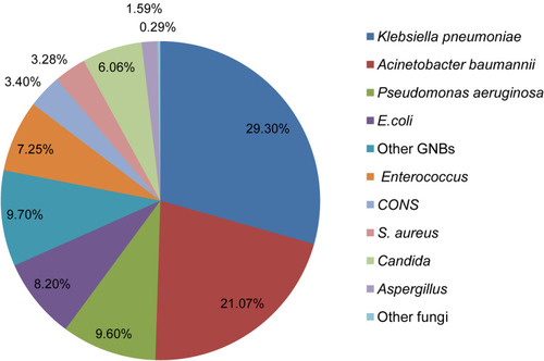 Figure 1 Distribution of bacterial and fungal pathogens isolated from COVID-19 patients.