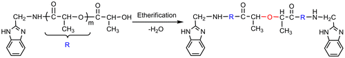 Scheme 2. The formation of the copolymer with ether structure.