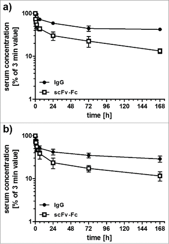 Figure 2. Pharmacokinetics of IgG1 and scFv-Fc fusion proteins. a) Anti-CEA antibody molecules. b) Anti-EGFR antibody molecules. CD1 mice received a single injection of 25 µg protein and serum concentrations were determined by ELISA.