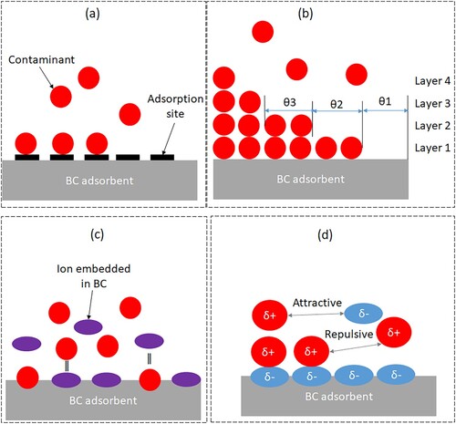 Figure 5. BC contaminant adsorption mechanisms: (a) mono-layer chemical adsorption, (b) multi-layer physical adsorption, (c) ion-exchange and (d) electrostatic interaction.