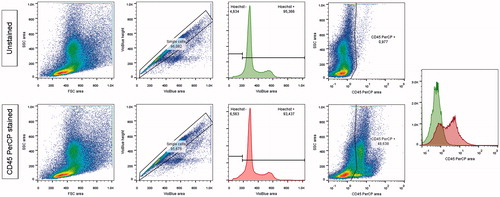 Figure 1. Flow cytometry analysis of bone-marrow, with a CD45 PerCP staining.Analytic strategy: 1) size and structure of cells 2) inclusion of single cells comparing the height and area of the Hoechst signal (excitation by a violet laser at 405 nm and detection through a 450/50 nm filter) 3) inclusion of cells having a correct Hoechst signal (excitation by a violet laser at 405 nm and detection through a 425–475 nm filter) quantitative search for CD45+ cells in the PerCP channel (excitation by a laser at 488 nm and detection through a 655–730 nm filter).