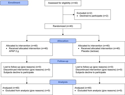 Figure 1 Consort 2010 flow diagram.