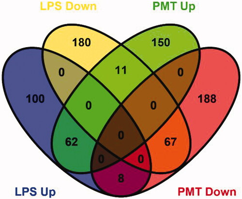 Figure 2. Venn diagram showing the distribution of DEPs from the LPS-stimulated group and palmatine-treated group. The blue oval represents upregulated proteins in the LPS-stimulated group (LPS Up), the yellow oval represents downregulated proteins in the LPS-stimulated group (LPS Down), the green oval represents upregulated proteins in the palmatine-treated group (PMT Up), and the red oval represents downregulated proteins in the palmatine-treated group (PMT Down). Overlap between ovals indicates the number of proteins common to different groups.