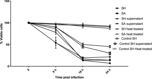 Figure 6. Effect of Staphylococci on the proliferation rate of PHSF cells measured by MTT assay. Data are represented as the mean of 3 experiments ± standard error.