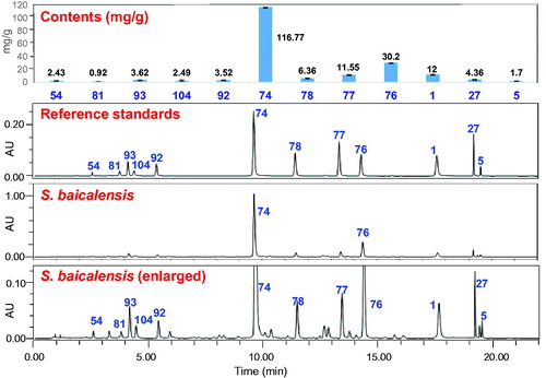 Figure 3. UPLC/UV chromatograms (275 nm) for quantitative analysis of 12 major compounds in Scutellaria baicalensis (Huang-Qin crude drugs). 1, baicalein; 5, oroxylin A; 27, wogonin; 54, (2R,3R)-3,5,7,2′,6′-pentahydroxyflavanone; 74, baicalin; 76, wogonoside; 77, oroxylinA 7-O-β-D-glucuronoside; 78, norwogonin 7-O-β-D-glucuronoside; 81, scutellarin; 92, chrysin 6-C-β-D-glucoside-8-C-α-L-arabinopyranoside; 93, chrysin 6-C-α-L-arabinopyranoside-8-C-β-D-glucoside; 104, acteoside (Adapted from Ji et al. Citation2015).