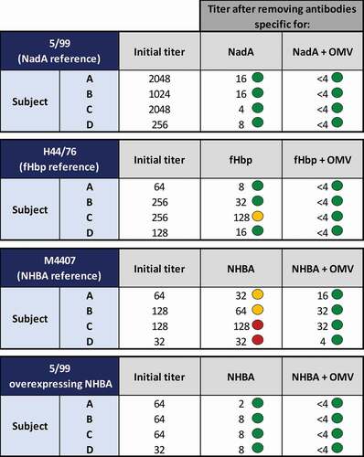 Figure 4. Serum bactericidal titers using human complement against indicator strains with or without the addition of the specific competitor. All sera tested derived from four subjects vaccinated with 4CMenB. 5/99, H44/76 and M4407 strains were selected to assess the contribution of antibodies directed against NadA, fHbp, and NHBA, respectively. The 5/99 strain overexpressing NHBA was a deletion mutant for nadA and NHBA complemented with the NHBA gene under the control of an IPTG-inducible promoter. Green dots denote significant inhibition (≥ fourfold) of SBA by the addition of exogenous antigens compared to the untreated sera (initial titer). Orange dots describe mild inhibitions characterized by a twofold decrease of SBA titers compared to the initial titer. Red dots indicate no inhibition at all. Figure generated based on data discussed in Giuliani et al. [Citation18].