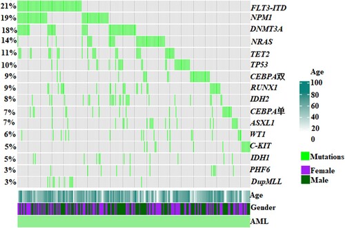 Figure 9. A chart showing the characteristics, concurrent mutations, treatment, and outcomes of TP53-mutated patients. Each column represented one patient, and the presence of aberrations was represented by different colors.