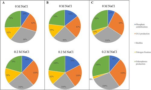 Figure 2. Percentage of bacterial showing the different plant growth promoting (PGP) properties in absence of NaCl (0 M NaCl) and in presence of 0.2 M NaCl of (A) endophytes from roots of Limonium vulgare (LVR), (B) endophytes from roots of L. daveaui (LDR), and (C) endophytes from roots of L. multiflorum (LMR).