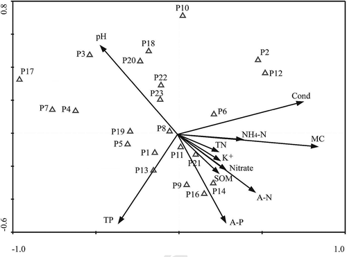 Figure 3. Canonical correspondence analysis (CCA) ordination diagram for vegetation species and soil environmental variables.CCA ordination diagram with plant species (Δ) and environmental variables (arrows); the first axis is horizontal, and the second is vertical. Abbreviations for the environmental variables as: SPX1 = the first vegetation species axis; SPX2 = the secondary species axis; SPX3 = the tertiary species axis; SPX4 = the fourth species axis; ENX1 = the first environmental factor axis; ENX2 = the secondary environmental factor axis; ENX3 = the tertiary environment factors axis; ENX4 = the fourth environmental factors axis. The vectors represent environmental variables. The length of the vector is proportional to its importance, and the angle between two vectors reflects the degree of correlation between variables. The angle between a vector and each axis is related to its correlation with the axes.