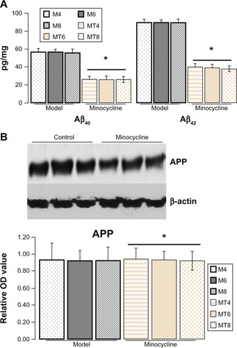 Figure 1 Assay of Aβ40/42 and amyloid precursor protein.