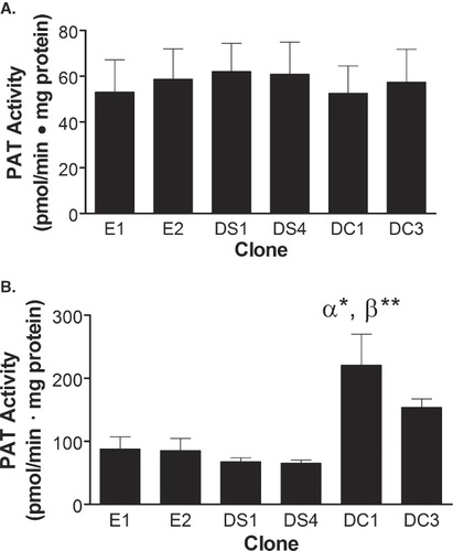 Figure 2.  Enzymatic palmitoylation activity of DHHC20. In vitro palmitoylation assays were performed using membrane fractions from each of the indicated clones. The assays consisted of either 10 µM of the NBD-CLC(OMe)-Farn or MyrGC-(NBD) peptides with 100 µM palmitoyl-CoA, 15 µg membrane protein, and acylation buffer in a total volume of 50 µl. The peptide substrates were preincubated with membrane fractions derived from the indicated cell lines in acylation buffer for 8 min at 37°C with agitation. To start the reaction, palmitoyl-CoA was added, gently vortexed, and the mixture was incubated for a further 15 min at 37°C with agitation. Palmitoylated peptides were resolved by HPLC using a reverse phase wide pore butyl column and the amount of the peptide palmitoylated in each reaction was calculated based on the ratio of the palmitoylated to the total native peptide in each reaction. Statistical analyses were performed using ANOVA and the data shown represents the mean of four experiments ± SEM. (α*) indicates p ≤ 0.05 when compared to clone E1, (β**) indicates p ≤ 0.01 when compared to clones E2, DS1 and DS4.