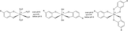 Figure 1. Catecholamine-Fe(III) complexes at different pH values. R=H (catechol); CH2-CH2-NH2 (dopamine); CHOH-CH2-NHCH3 (epinephrine); and CHOH-CH2-NH2 (norepinephrine).