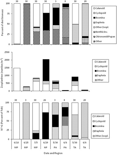 Figure 6. Diet composition (top, % dry weight), zooplankton abundance (middle, by number), and percent of fish that selected (i.e., W’=1, bottom) each zooplankton prey type for age-0 lake whitefish that were collected in beach seines in 2018. Number above bars is the number of fish with food in their stomach (top panel) or number of fish that ate zooplankton (bottom panel).