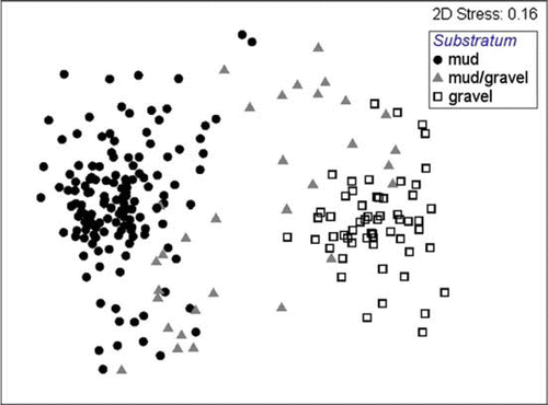 Fig. 5  Multi-dimensional scaling plot of species assemblages within three substrata.