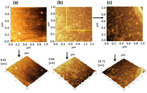 Figure 2. Tapping mode AFM images of graphene. Analyses were based on PBS and single-stranded probe DNA. (a) 2D and 3D AFM images of graphene with PBS solution, (scan area: 1 µm × 1 µm). (b) 2D and 3D AFM images of graphene with single-stranded probe DNA, (scan area: 1.5 µm × 1.5 µm). The colored line illustrates the magnified area of the image (c). (c) 2D and 3D AFM images (magnified image of (b)) of graphene with single-stranded probe DNA, (scan area: 1 µm × 1 µm).