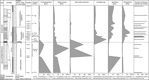 Figure 2. Relative abundances of selected species and groups of morphologically related species and dinoflagellate diversity patterns, compared against lithology, planktonic foraminiferal zonation, dinoflagellate cyst events and sample positions across the Cretaceous/Paleogene boundary at the Ouled Haddou section (northern Morocco). Glaphyrocysta group = Glaphyrocysta spp. + Riculacysta spp., Spiniferites group = Achomosphaera spp. + Spiniferites spp., Senegalinium group = Andalusiella dubia + the small Cerodinium mediterraneum + Geiselodinium psilatum + Lejeunecysta spp. + Phelodinium spp. + Senegalinium spp.
