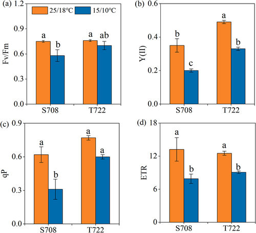 Figure 3. Chlorophyll fluorescence parameters of the two tomato cultivars. (a) maximum quantum yield of PSII, Fv/Fm; (b) effective quantum yield of photochemical energy conversion in PSII, Y(II); (c) photochemical quenching (qP); (d) electron transport rate (ETR). Chlorophyll fluorescence parameters of S708 and T722 cultivars at control (CK, 25/18℃) and sub-optimal temperature (T, 15/10℃). Values are the mean±SD (n=3). Different low letters above the column denote the significantly difference according to Tukey’s HSD test (p < 0.05).