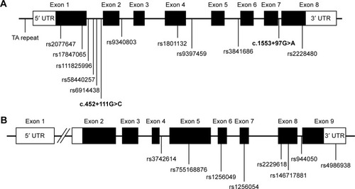 Figure 1 Genomic structure and approximate locations of the variants investigated through case–control analysis or identified from resequencing of (A) ESR1 and (B) ESR2.