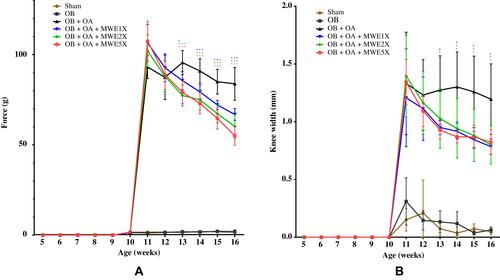 Figure 6 Effects of Mytilus edulis water extract on knee joint: (A) evaluation of the incapacitance test changes after the ACLT+MMx surgery and (B) time-course of the knee joint width changes.Notes: Data are shown as the mean ± SEM. Differences were considered significant at *p < 0.05 and ***p < 0.001 versus OB+OA group.Abbreviations: MWE, Mytilus edulis water extract; OA, osteoarthritis; OB, obese.