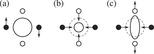 Figure 8. Deformation of an electron shell in response to a deformation of the macroscopic body. The electron shell is schematically depicted by the central circle. (a) During shear deformation, the displacement does not lead to a deformation of the shell. There is hence no influence of shell deformation on the shear modulus . (b) If the shell deforms isotropically, then an inwards motion of the black atoms will lead to an inwards force on the white atoms, implying . (c) For anisotropic shell deformation, an inwards motion of the black atoms will lead to an outwards force on the white atoms, leading to . Adapted from , Sangster, M., Interionic potentials and force constant models for rocksalt structure crystals, 355–363, Copyright (1973), with permission from Elsevier (Ref. [Citation192]).