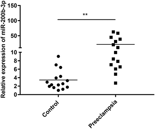 Figure 3. Quantitative polymerase chain reaction (qPCR) showed the increased expression of miR-200b-3p in the placental tissues of patients with preeclampsia. Data are presented as mean ± SD. ** indicated P < 0.01 compared with control group.