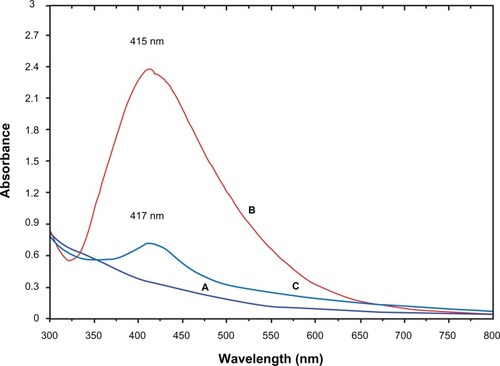 Figure 3 UV-visible absorption spectra of Curcuma longa (A) and silver (Ag)/C. longa emulsion (B) after 24 hours of stirring; Ag/C. longa emulsion (C) after 3 months.