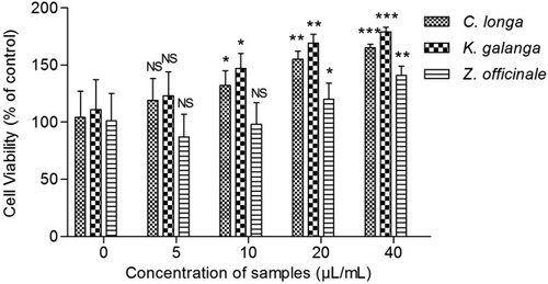 Figure 3. Effects of various rhizome oils on the proliferation of CBMCs. All data are presented as the mean ± SD of five measurements. CBMCs (5 × 106 cells/ml) were cultured in vitro with Con A (1 µl/ml) along with different doses of various oils (0–40 µl/ml). After 48 h of incubation, the CBMCs viability was measured by MTT method. NS: non-significant (P > .05); **P < .01; ***P < .001 compared with 0 µl/ml.