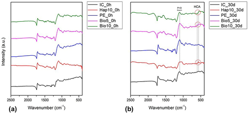 Figure 4 FT-IR/ATR spectrum of infiltrant specimens without immersion (0h – a) and after immersion (30d – b) in SBF.