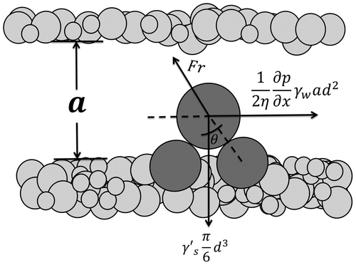 Figure 4. Two forces grain equilibrium model inside the erosion channel.