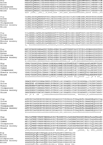 Figure 3. Alignment of the MOSPD2 proteins from pig, horse, human, chimpanzee, rhesus monkey and mouse.