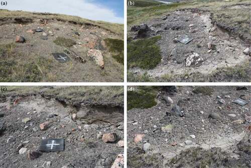 Figure 2. Four terrestrial photographs of soil deflation patch LLGRID5. Note the scarp, visible in all photos. For scale, the ground control mat is roughly 38 × 44 cm. Photos taken June 24, 2014