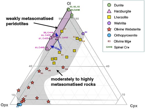 Figure 12. Ultramafic rock classification showing the spread of the Little Lottery River data and inferred evolution. The pink field represents the inferred depleted mantle range prior to metasomatism. Blue arrows represent typical peridotite melting trajectories from Niu et al. (Citation1998).