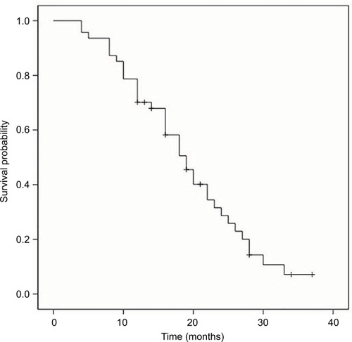 Figure 2 Progression-free survival curve in the treated multiple myeloma patients.