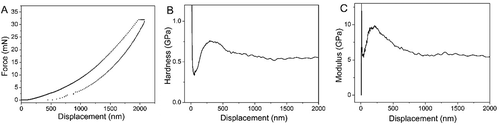 Figure 7. A).Curves of nano-indentation for HCBOs. B).The d-H curves of HCBOs. C).The d-M curves of HCBOs