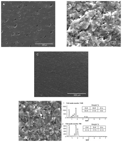 Figure 5 Scanning electron microscopy analysis of sections of the sintered ceramics. (A and B) show sintered unmodified ceramics containing 30 wt% nano-ZrO2 (U30Z), with a large volume of irregular pores. (C and D) show sintered modified ceramics containing 30 wt% nano-ZrO2 (M30Z). Compared with those shown in (A and B), these ceramics exhibit high density with low porosity.Note: The element of a typical structure was detected by EDS, confirming that it was composed of diatomite with adsorbed nano-ZrO2 particles.