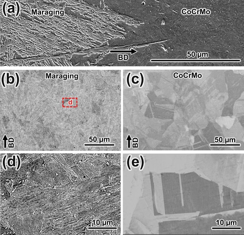 Figure 4. Microstructural features after HT1: (a) transition zone, (b, d) maraging steel lath structure and (c, e) CoCrMo twin structure.