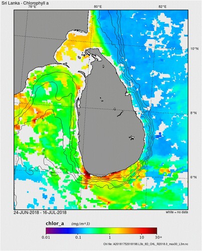 Figure 4. Spatial distribution patterns of Chl a (mg m −3) (satellite data) in Sri Lankan waters between 24 June and 16 July 2018. Isobaths are shown for 100, 1000, 2000, and 3000 m respectively from inner to outer contours.