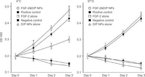 Figure 2 The protective effect of D/P NPs on FGF-2 bioactivity.