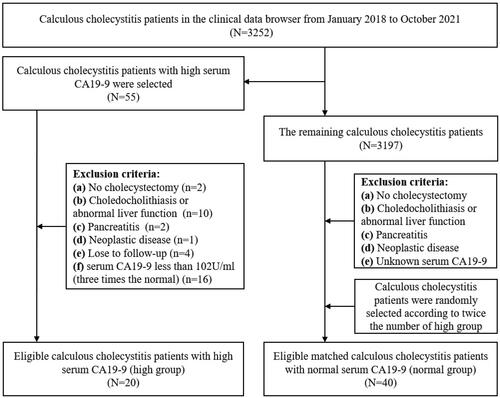 Figure 1. Screening flow chart of calculous cholecystitis patients.