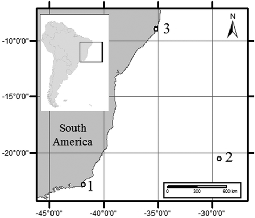 Fig. 1. Map of South America showing the three locations where species of Coolia were isolated from. 1 – Armação dos Búzios, Rio de Janeiro, 2 – Trindade Island, Espírito Santo, 3 – Maragogi, Alagoas, Brazil.