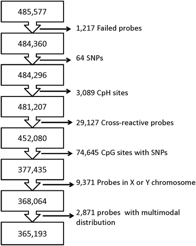 Figure 1. Flowchart of Probe Filtering. The flow chart outlines the filtering steps used prior to analysis.