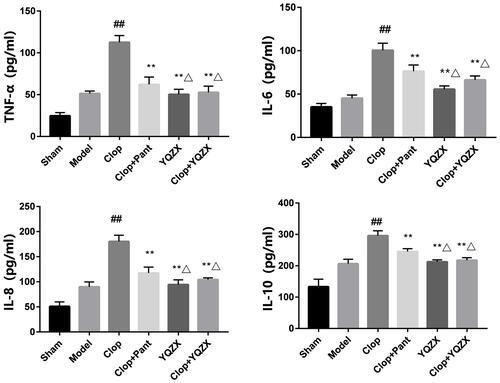 Figure 6 Content of TNF-α, IL-6, IL-8, and IL-10.