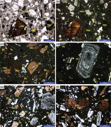 Figure 5. A-b) Oxyhornblende phenocryst with opaque margin, and entirely resorbed hornblende ghost crystals in porphyritic dacite (a: plain polarised light(PPL), and b: crossed polarised light (CPL)). c) Plagioclase, biotite and oxyhornblende crystals is in glassy groundmass (CPL). d) Oscillatory zoned plagioclase in dacitic lava. e-f) Plagioclase, biotite and oxyhornblende crystals in felsitic and glassy groundmass in glomeruloporphyritic andesite (CPL). Abbreviations: Pl: plagioclase, Hbl: hornblende, Bt: biotite