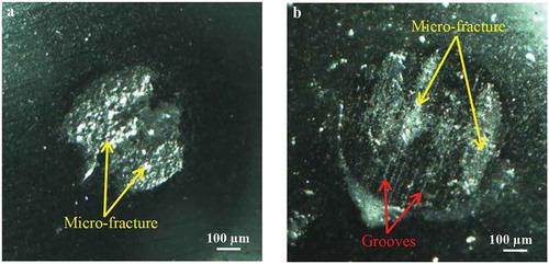 Figure 6. Microscope images of wear scars on SiC balls after sliding against B4C (a) and B4C-SiC (b) ceramics at 10 N.