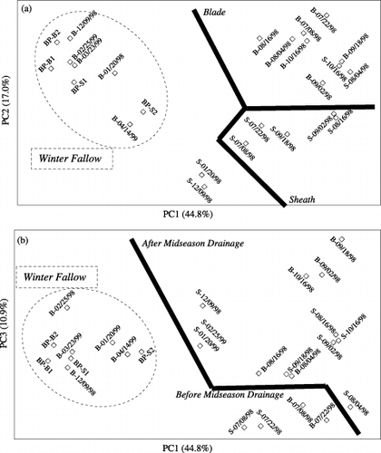 Figure 3  Principal component analysis of denaturing gradient gel electrophoresis (DGGE) fingerprinting patterns of methane-oxidizing bacteria (MOB) colonizing sheath and blade samples applied to the plow layer. (a) Score plots in the coordinate system of first and second principal components (PC) and (b) score plots in the coordinate system of first and third PC. The sample designation is S (sheath) or B (Blade) and the sampling date (as indicated in Fig. 1).