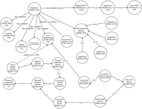 Figure 11. Type 2 diabetes mellitus disease and hepatitis C relation.